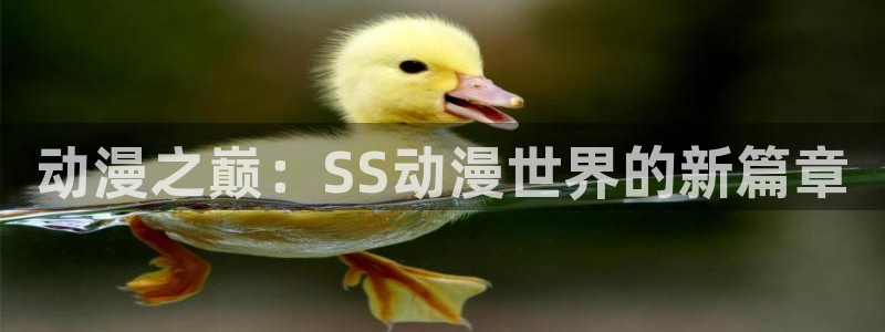58动漫网全网动漫全集免费观看