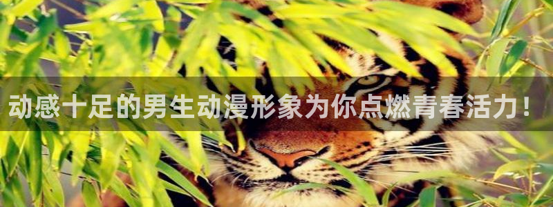 58动漫在线观看：动感十足的男生动漫形象为你点燃青春活力！