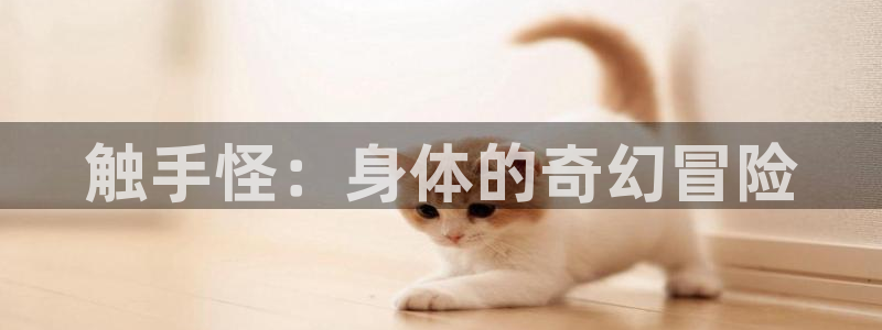 动漫58动漫网：触手怪：身体的奇幻冒险