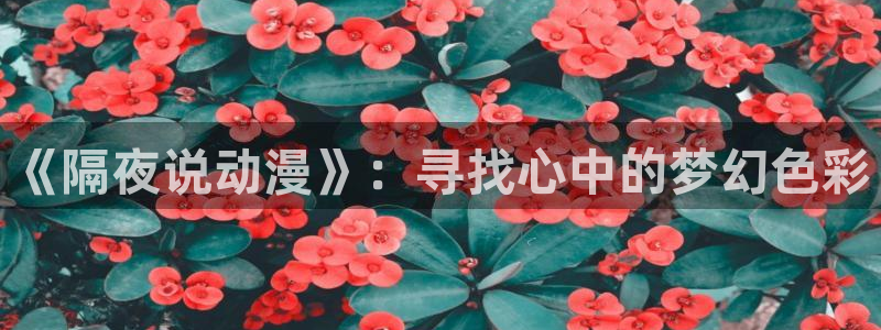 58动漫网入口：《隔夜说动漫》：寻找心中的梦幻色彩