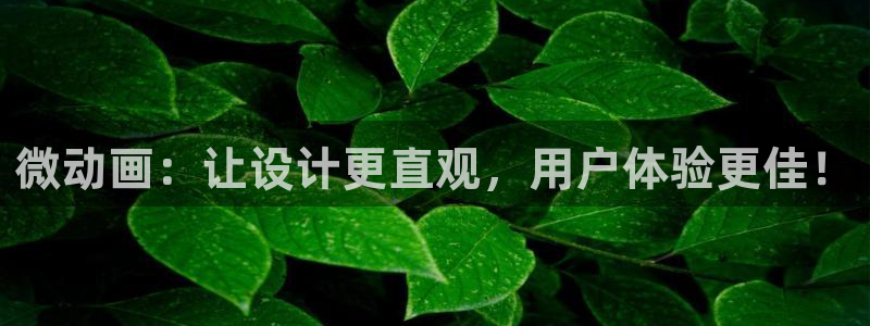 58动漫网站好看的动漫：微动画：让设计更直观，用户体验更佳！